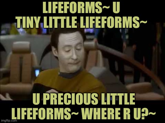 Where Are They? | LIFEFORMS~ U TINY LITTLE LIFEFORMS~; U PRECIOUS LITTLE LIFEFORMS~ WHERE R U?~ | image tagged in star trek data lifeforms | made w/ Imgflip meme maker