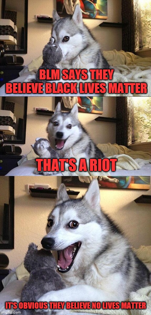 Bad Pun Dog | BLM SAYS THEY BELIEVE BLACK LIVES MATTER; THAT'S A RIOT; IT'S OBVIOUS THEY BELIEVE NO LIVES MATTER | image tagged in memes,bad pun dog | made w/ Imgflip meme maker