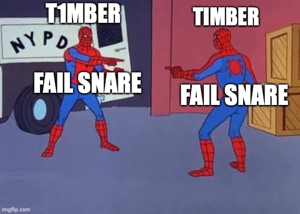 Spiderman mirror | FAIL SNARE FAIL SNARE T1MBER TIMBER | image tagged in spiderman mirror | made w/ Imgflip meme maker