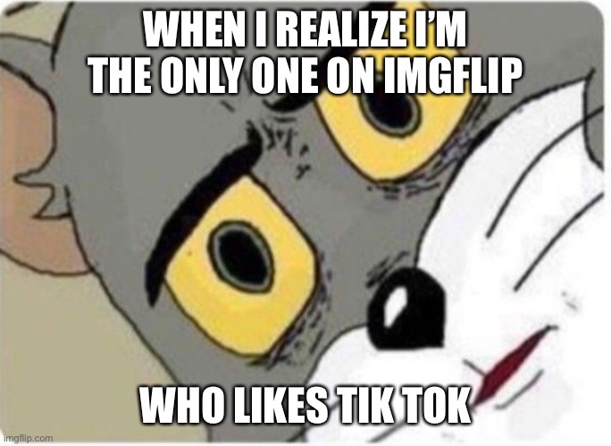 Tom and Jerry meme | WHEN I REALIZE I’M THE ONLY ONE ON IMGFLIP; WHO LIKES TIK TOK | image tagged in tom and jerry meme,tiktok | made w/ Imgflip meme maker