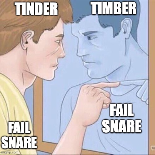 Pointing mirror guy | TINDER TIMBER FAIL
SNARE FAIL
SNARE | image tagged in pointing mirror guy | made w/ Imgflip meme maker