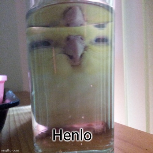 Henlo | made w/ Imgflip meme maker