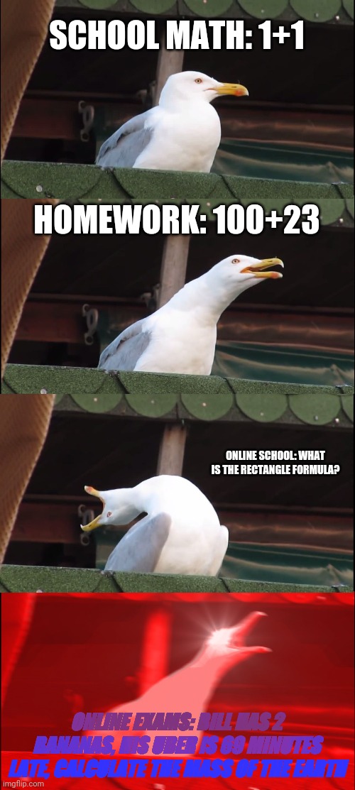 Inhaling Seagull Meme | SCHOOL MATH: 1+1 HOMEWORK: 100+23 ONLINE SCHOOL: WHAT IS THE RECTANGLE FORMULA? ONLINE EXAMS: BILL HAS 2 BANANAS, HIS UBER IS 69 MINUTES LAT | image tagged in memes,inhaling seagull | made w/ Imgflip meme maker