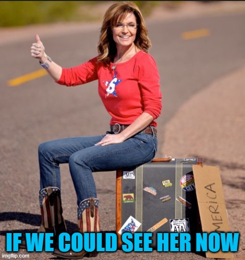 sarah palin suitcase | IF WE COULD SEE HER NOW | image tagged in sarah palin suitcase | made w/ Imgflip meme maker