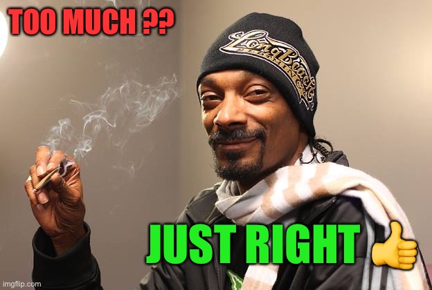 Snoop Dogg | TOO MUCH ?? JUST RIGHT ? | image tagged in snoop dogg | made w/ Imgflip meme maker