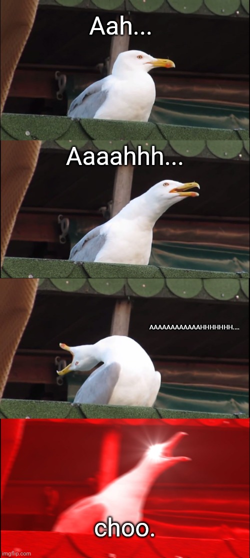 Inhaling Seagull |  Aah... Aaaahhh... AAAAAAAAAAAAHHHHHHH.... choo. | image tagged in memes,inhaling seagull | made w/ Imgflip meme maker