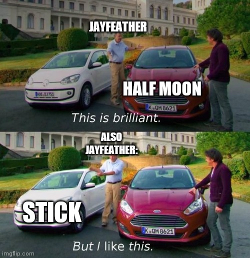Amy Warriors Cats fan? | JAYFEATHER; HALF MOON; ALSO JAYFEATHER:; STICK | image tagged in this is brilliant but i like this | made w/ Imgflip meme maker