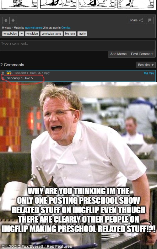 seriously, just because a show like teletubbies has a younger target audience, doesn't mean that older people aren't allowed to | WHY ARE YOU THINKING IM THE ONLY ONE POSTING PRESCHOOL SHOW RELATED STUFF ON IMGFLIP EVEN THOUGH THERE ARE CLEARLY OTHER PEOPLE ON IMGFLIP MAKING PRESCHOOL RELATED STUFF!?! | image tagged in memes,chef gordon ramsay,random tag,oh wow are you actually reading these tags,seriously wtf | made w/ Imgflip meme maker