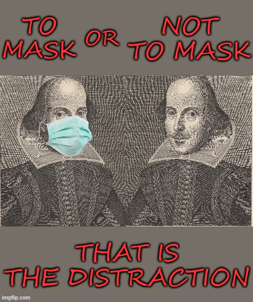While we are distracted and arguing about masks, what is it we are being distracted from?  This is not accidental. | TO MASK; NOT TO MASK; OR; THAT IS THE DISTRACTION | image tagged in deep state,distraction,real issue,face mask,liberty,mind control | made w/ Imgflip meme maker