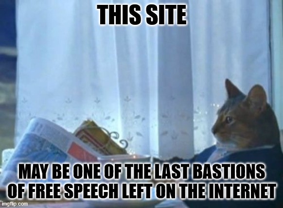It's scary that things have come to be this way | THIS SITE; MAY BE ONE OF THE LAST BASTIONS OF FREE SPEECH LEFT ON THE INTERNET | image tagged in memes,i should buy a boat cat,imgflip,free speech,censorship,internet | made w/ Imgflip meme maker
