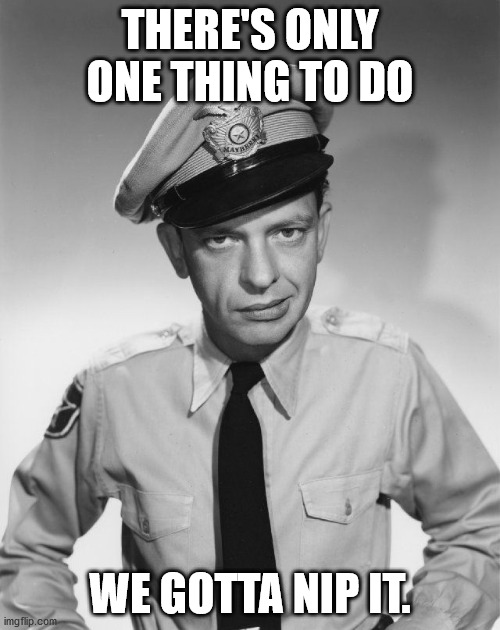 Barney Fife Will Nip It | THERE'S ONLY ONE THING TO DO; WE GOTTA NIP IT. | image tagged in andy griffith,barney fife,nip it | made w/ Imgflip meme maker