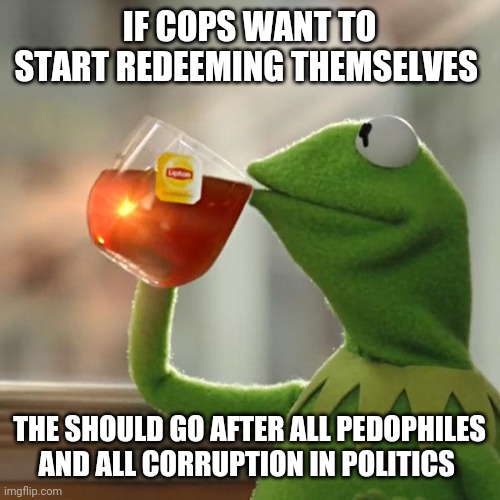 But That's None Of My Business | IF COPS WANT TO START REDEEMING THEMSELVES; THE SHOULD GO AFTER ALL PEDOPHILES AND ALL CORRUPTION IN POLITICS | image tagged in memes,but that's none of my business,kermit the frog | made w/ Imgflip meme maker