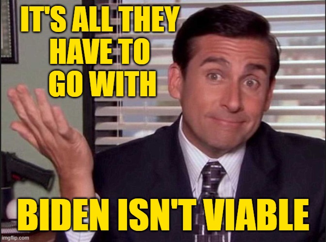Michael Scott | IT'S ALL THEY 
HAVE TO 
GO WITH BIDEN ISN'T VIABLE | image tagged in michael scott | made w/ Imgflip meme maker