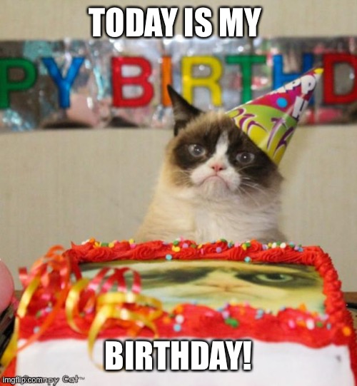 Grumpy Cat Birthday | TODAY IS MY; BIRTHDAY! | image tagged in memes,grumpy cat birthday,grumpy cat | made w/ Imgflip meme maker