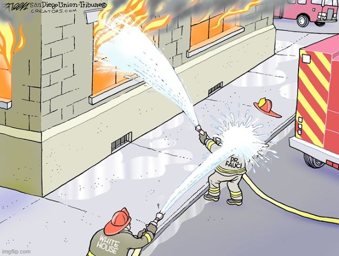 When all else fails: hose the guy putting out the fire? (repost) | image tagged in trump,covid-19,donald trump,donald trump is an idiot,trump is a moron,repost | made w/ Imgflip meme maker