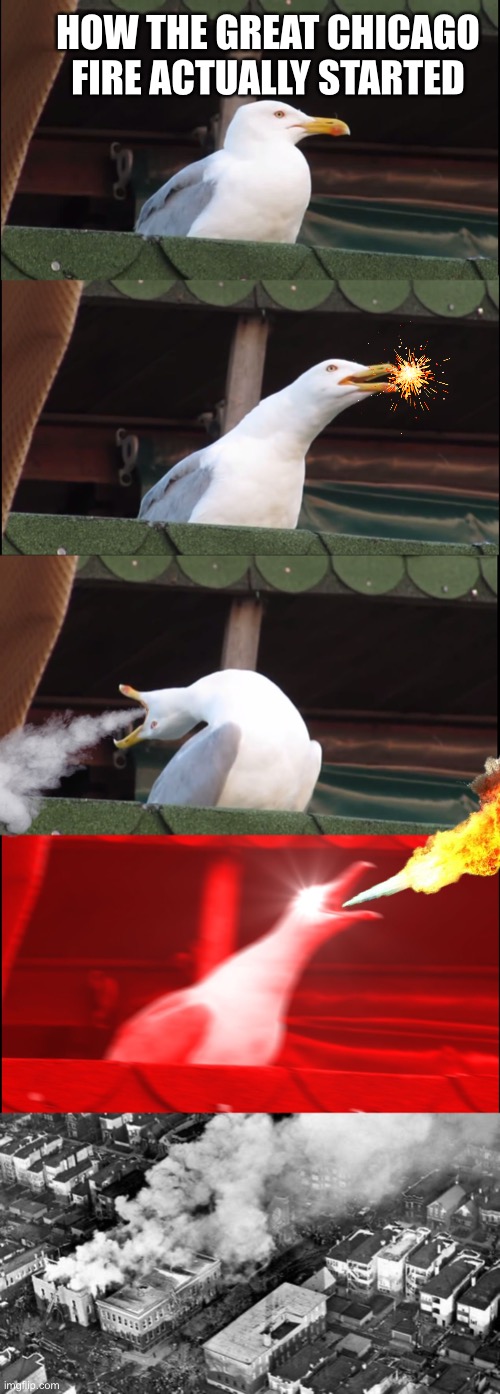 HOW THE GREAT CHICAGO FIRE ACTUALLY STARTED | image tagged in memes,inhaling seagull | made w/ Imgflip meme maker