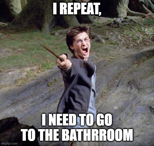 Harry potter mad | I REPEAT, I NEED TO GO TO THE BATHRROOM | image tagged in harry potter | made w/ Imgflip meme maker