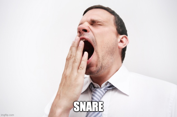 yawn | SNARE | image tagged in yawn | made w/ Imgflip meme maker