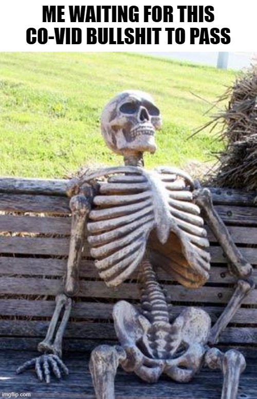 Waiting Skeleton Meme | ME WAITING FOR THIS CO-VID BULLSHIT TO PASS | image tagged in memes,waiting skeleton | made w/ Imgflip meme maker