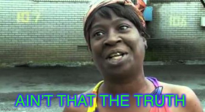 Sweet Brown | AIN’T THAT THE TRUTH | image tagged in sweet brown | made w/ Imgflip meme maker