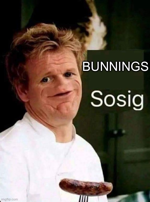 Sosig | BUNNINGS | image tagged in sosig | made w/ Imgflip meme maker