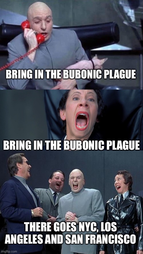 BRING IN THE BUBONIC PLAGUE BRING IN THE BUBONIC PLAGUE THERE GOES NYC, LOS ANGELES AND SAN FRANCISCO | image tagged in dr evil laugh,dr evil and frau | made w/ Imgflip meme maker