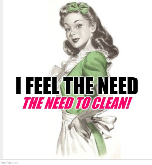 Top Housewife | THE NEED TO CLEAN! I FEEL THE NEED | image tagged in 50's housewife,top gun,movie quotes,funny memes,housework,cleaning | made w/ Imgflip meme maker