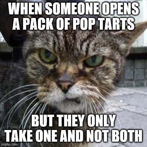 I've seen this. Annoying isn't it? | WHEN SOMEONE OPENS A PACK OF POP TARTS; BUT THEY ONLY TAKE ONE AND NOT BOTH | image tagged in angry cat,memes,pop tarts,food | made w/ Imgflip meme maker