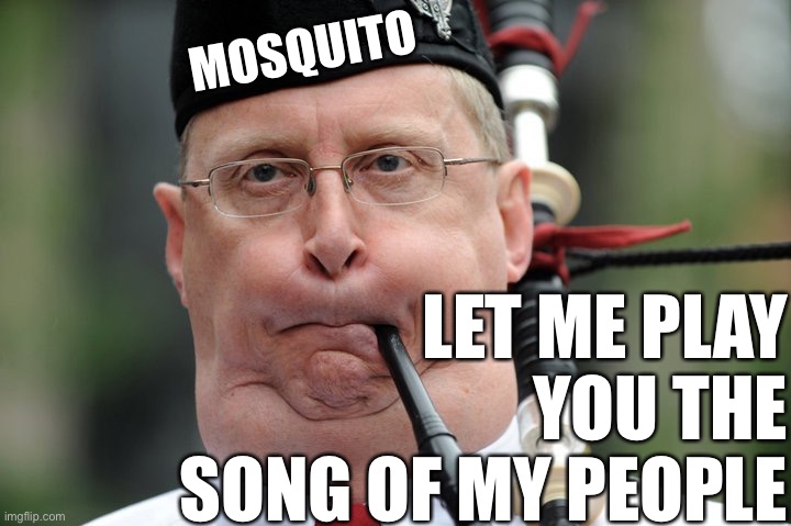 bagpiper  | MOSQUITO LET ME PLAY YOU THE SONG OF MY PEOPLE | image tagged in bagpiper | made w/ Imgflip meme maker