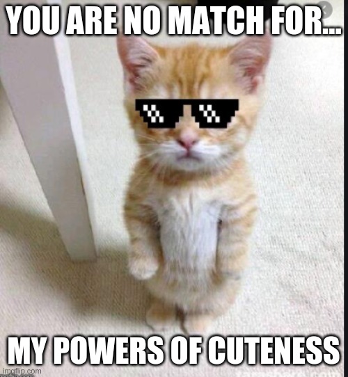 nope | YOU ARE NO MATCH FOR... MY POWERS OF CUTENESS | image tagged in cute cat | made w/ Imgflip meme maker