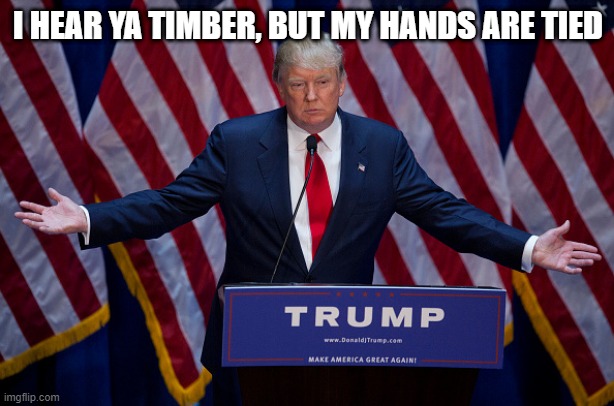 Donald Trump | I HEAR YA TIMBER, BUT MY HANDS ARE TIED | image tagged in donald trump | made w/ Imgflip meme maker