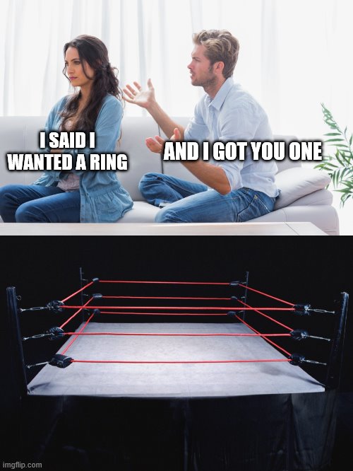 Aa Captain Obvious might say: That's not what she meant. | I SAID I WANTED A RING; AND I GOT YOU ONE | image tagged in wife and husband arguing,wrestling,rings,engagement,marriage | made w/ Imgflip meme maker