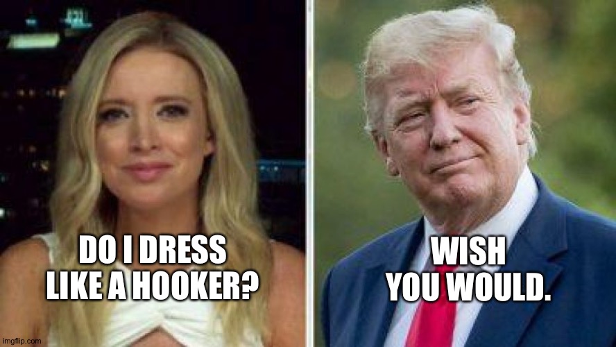 Kayleigh and Trump | DO I DRESS LIKE A HOOKER? WISH YOU WOULD. | image tagged in kayleigh and trump | made w/ Imgflip meme maker