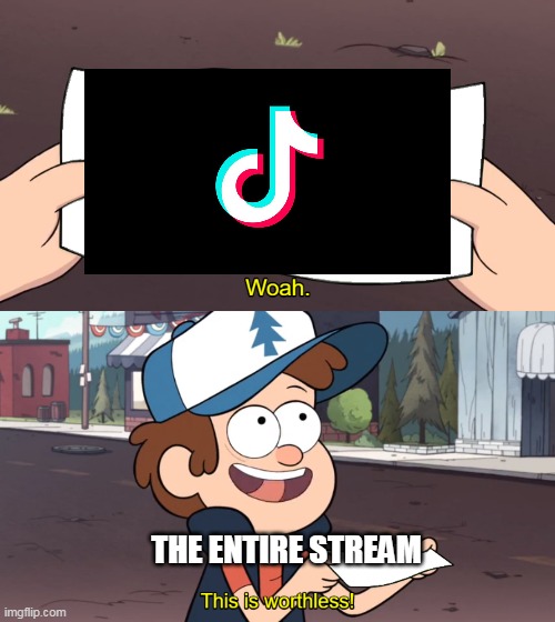 i hope this meme isnt marked as repost | THE ENTIRE STREAM | image tagged in this is worthless | made w/ Imgflip meme maker