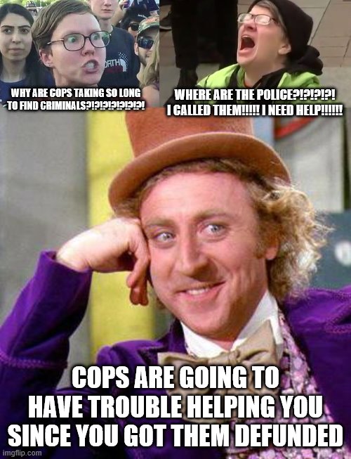 Stupid, pathetic crybabies are going to have to reap what they sow | WHERE ARE THE POLICE?!?!?!?! I CALLED THEM!!!!! I NEED HELP!!!!!! WHY ARE COPS TAKING SO LONG TO FIND CRIMINALS?!?!?!?!?!?!?! COPS ARE GOING TO HAVE TROUBLE HELPING YOU SINCE YOU GOT THEM DEFUNDED | image tagged in willy wonka blank,triggered liberal,screaming liberal,stupid liberals,liberal hypocrisy | made w/ Imgflip meme maker