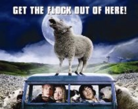 Black Sheep Movie Poster | image tagged in black sheep movie poster | made w/ Imgflip meme maker