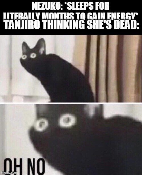 Oh no cat | TANJIRO THINKING SHE'S DEAD:; NEZUKO: *SLEEPS FOR LITERALLY MONTHS TO GAIN ENERGY* | image tagged in oh no cat | made w/ Imgflip meme maker