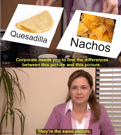 They're The Same Picture Meme | Quesadilla; Nachos | image tagged in memes,they're the same picture | made w/ Imgflip meme maker