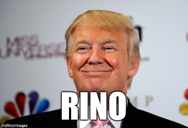 Donald trump approves | RINO | image tagged in donald trump approves | made w/ Imgflip meme maker