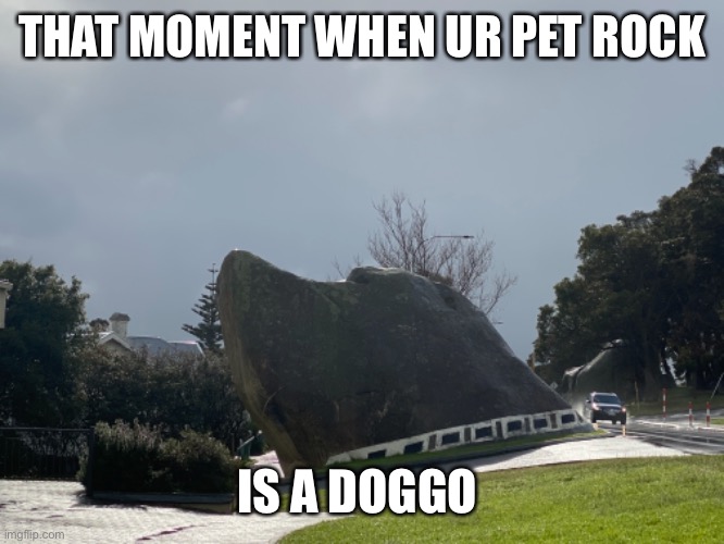 Doggo rock | THAT MOMENT WHEN UR PET ROCK; IS A DOGGO | image tagged in doggo,meme,rock,dank meme,doggo meme,dank doggo | made w/ Imgflip meme maker