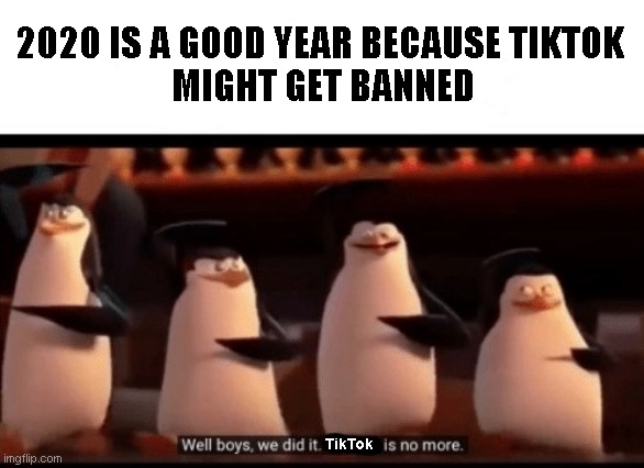 Don't Rest in Peace, TikTok, 2017-2020 | 2020 IS A GOOD YEAR BECAUSE TIKTOK 
MIGHT GET BANNED; TikTok | image tagged in well boys we did it blank is no more,memes,tiktok | made w/ Imgflip meme maker