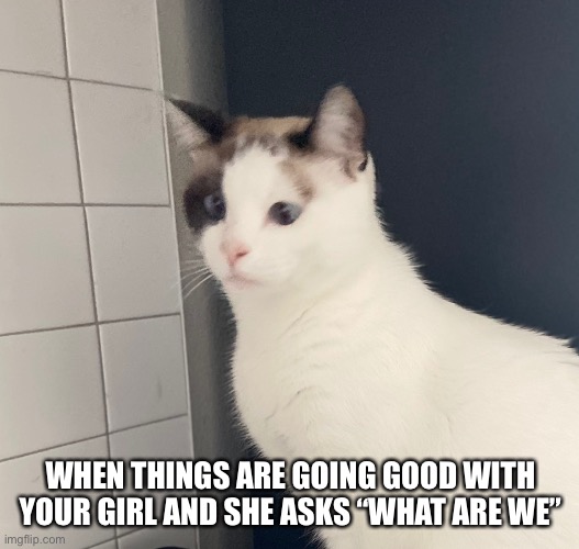 What are we | WHEN THINGS ARE GOING GOOD WITH YOUR GIRL AND SHE ASKS “WHAT ARE WE” | image tagged in macy zarro | made w/ Imgflip meme maker