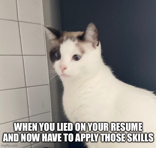 Resume Lie | WHEN YOU LIED ON YOUR RESUME AND NOW HAVE TO APPLY THOSE SKILLS | image tagged in macy zarro | made w/ Imgflip meme maker