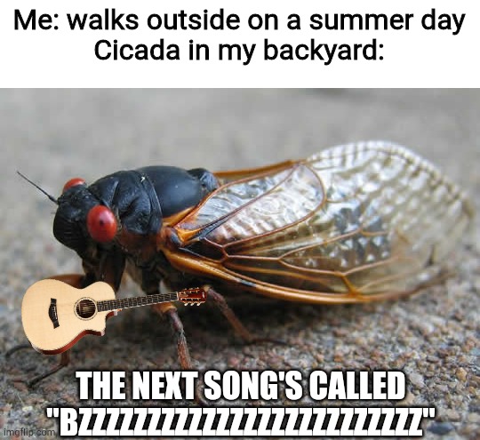 cicada Memes  GIFs - Imgflip