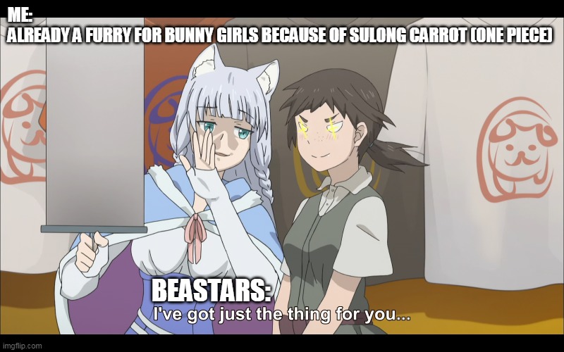 dem furries | ME: 
ALREADY A FURRY FOR BUNNY GIRLS BECAUSE OF SULONG CARROT (ONE PIECE); BEASTARS: | image tagged in beastars,sulong carrot,one piece,anime,kemono michi | made w/ Imgflip meme maker