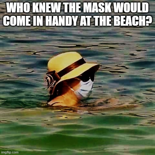 Who knew mask would be handy at the beach? | WHO KNEW THE MASK WOULD COME IN HANDY AT THE BEACH? | image tagged in meme,beach,peeing,covid19,virus,water | made w/ Imgflip meme maker