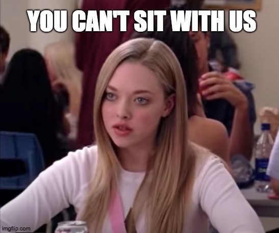 can't sit with us | YOU CAN'T SIT WITH US | image tagged in mean girls | made w/ Imgflip meme maker