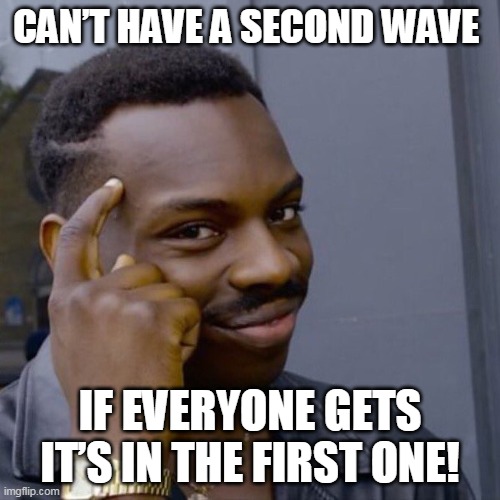 Black guy head tap | CAN’T HAVE A SECOND WAVE; IF EVERYONE GETS IT’S IN THE FIRST ONE! | image tagged in black guy head tap | made w/ Imgflip meme maker