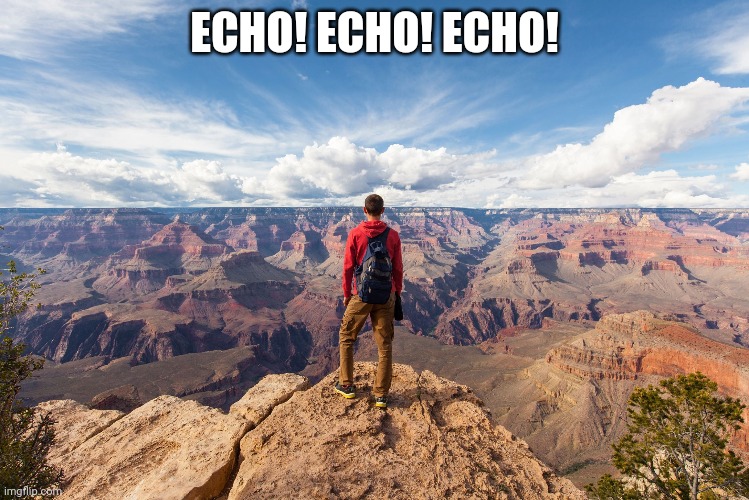 echo chamber | ECHO! ECHO! ECHO! | image tagged in echo chamber | made w/ Imgflip meme maker