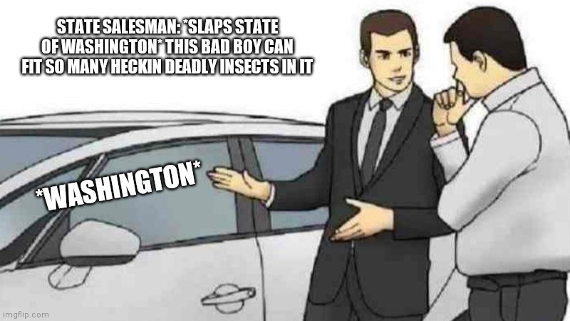Car Salesman Slaps Roof Of Car | STATE SALESMAN: *SLAPS STATE OF WASHINGTON* THIS BAD BOY CAN FIT SO MANY HECKIN DEADLY INSECTS IN IT; *WASHINGTON* | image tagged in memes,car salesman slaps roof of car | made w/ Imgflip meme maker